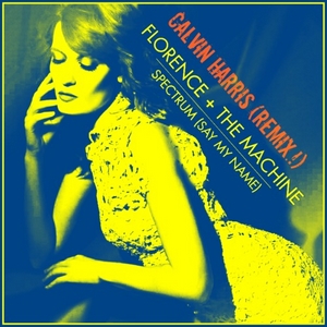 Florence-+-The-Machine-Spectrum-Calvin-Harris-Remix-Single-Cover-Art-Rock-Subculture-Journal-Top-10-2012