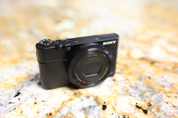 Recommended-Best-Pocket-Digital-Cameras-for-Music-Concerts-Sony-Cyber-shot-DSC-HX20V-DSC-RX100-Fuji-X100-X100S-B-RSJ