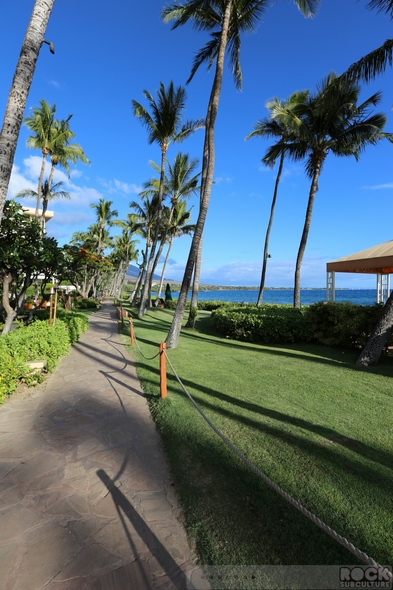 Hotel-Review-Hyatt-Regency-Maui-Resort-Spa-Lahaina-Kaanapali-Maui-Hawaii-Photos-Opinion-Beach-Ocean-View-101-RSJ