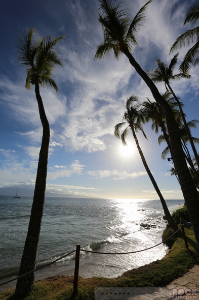 Hotel-Review-Hyatt-Regency-Maui-Resort-Spa-Lahaina-Kaanapali-Maui-Hawaii-Photos-Opinion-Beach-Ocean-View-101-RSJ