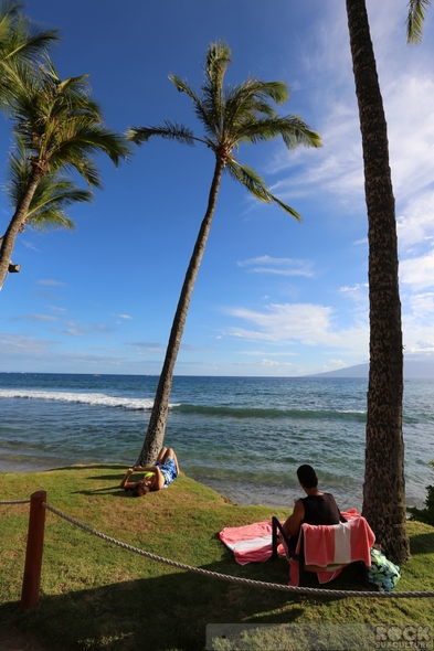 Hotel-Review-Hyatt-Regency-Maui-Resort-Spa-Lahaina-Kaanapali-Maui-Hawaii-Photos-Opinion-Beach-Ocean-View-101-RSJ