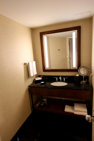 Hyatt-Regency-Houston-Downtown-Texas-Hotel-Review-Travel-Advisor-01-RSJ