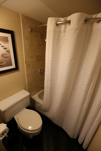 Hyatt-Regency-Houston-Downtown-Texas-Hotel-Review-Travel-Advisor-01-RSJ