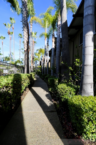 Humphreys-By-The-Bay-Hotel-Motel-Resort-Review-San-Diego-Trip-Advisor-Recommendations-Concert-Series-02-RSJ