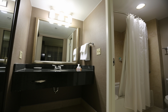 Hyatt-Dulles-at-Dulles-International-Airport-Resort-Hotel-Review-Travel-Journal-Trip-Advisor-Photos-01-RSJ