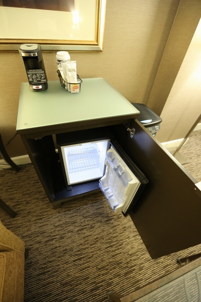 Hyatt-Dulles-at-Dulles-International-Airport-Resort-Hotel-Review-Travel-Journal-Trip-Advisor-Photos-01-RSJ