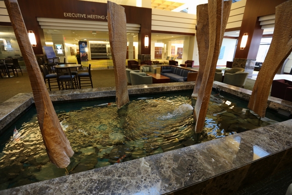 Hyatt-Dulles-at-Dulles-International-Airport-Resort-Hotel-Review-Travel-Journal-Trip-Advisor-Photos-01-RSJ