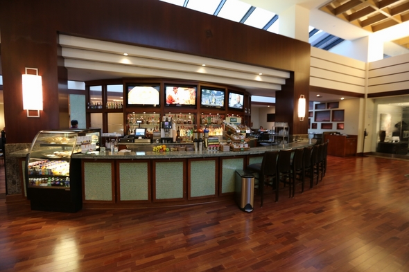 Hyatt-Dulles-at-Dulles-International-Airport-Resort-Hotel-Review-Travel-Journal-Trip-Advisor-Photos-01-RSJ