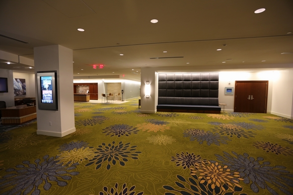 Hyatt-Dulles-at-Dulles-International-Airport-Resort-Hotel-Review-Travel-Journal-Trip-Advisor-Photos-01-RSJ