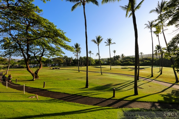 Hotel-Review-Resort-Travel-Hyatt-Regency-Maui-Resort-and-Spa-Lahaina-Hawaii-Kaanapali-01-RSJ