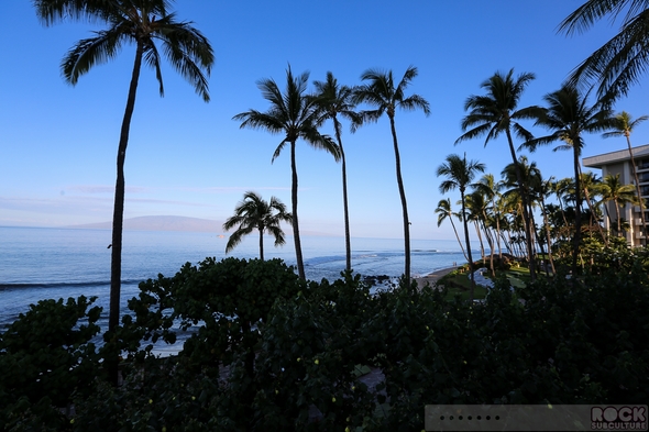 Hotel-Review-Resort-Travel-Hyatt-Regency-Maui-Resort-and-Spa-Lahaina-Hawaii-Kaanapali-01-RSJ