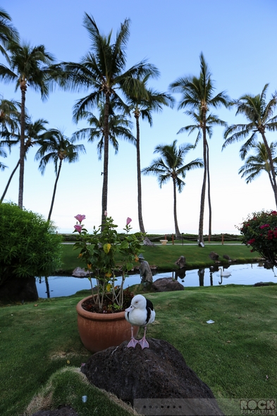 Hotel-Review-Resort-Travel-Hyatt-Regency-Maui-Resort-and-Spa-Lahaina-Hawaii-Kaanapali-01-RSJ