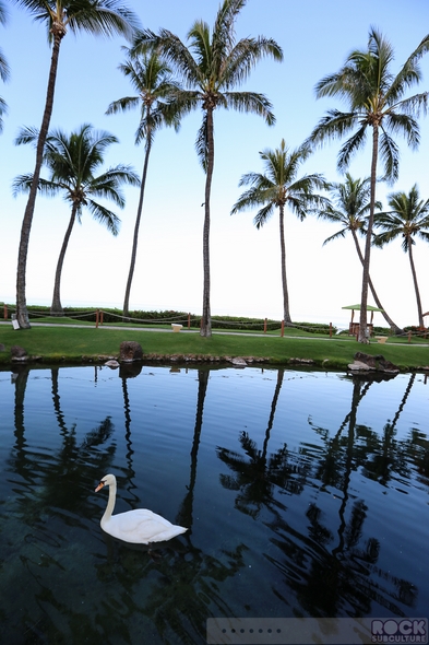 Hotel-Review-Resort-Travel-Hyatt-Regency-Maui-Resort-and-Spa-Lahaina-Hawaii-Kaanapali-01-RSJ